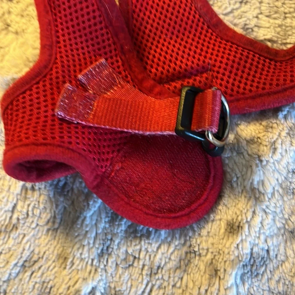 5/$20 Dog Harness, Leash Size S/M